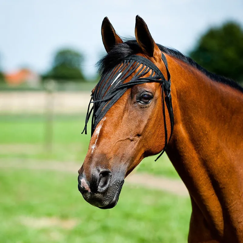 Franges anti-mouches cheval Horze simple